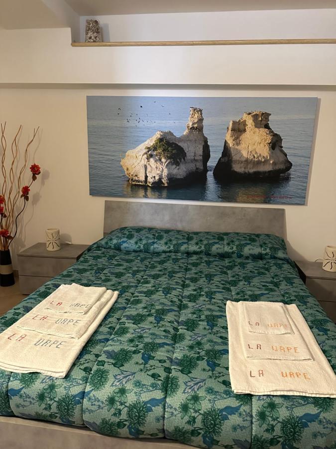 Splendido Bilocale Indipendente A - La Urpe